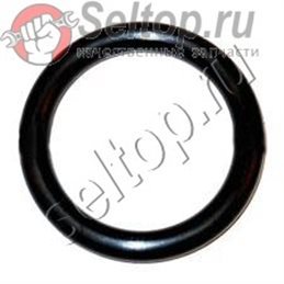 O RING, 30*5" D25901K