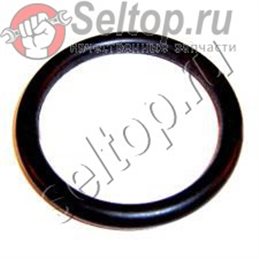 O RING 43*5.5