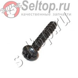 SCREW PLSTC THD FORM M4X25 T20