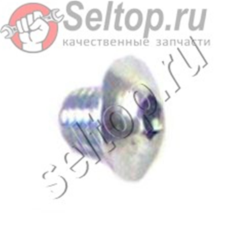 BOLT, M5 * 6MM